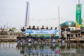Jaga ekosistem pesisir, Bank bjb tanam 10.000 mangrove di Subang