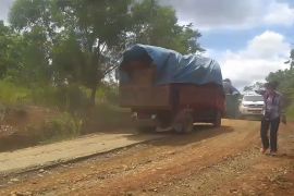 Koalisi desak BKSDA hentikan MoU demi selamatkan gajah di Bengkulu