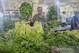 DPR Papua libatkan Bank Indonesia susun Raperdasi cadangan pangan