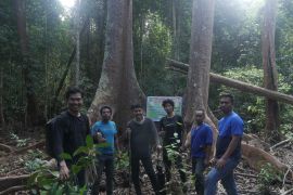Lawan deforestasi, KTH Sungai Bobak tawarkan hutan di Pelalawan