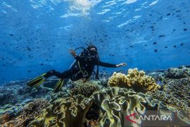 Wonderful Indonesia Diving Directory jadi rujukan penyelam profesional
