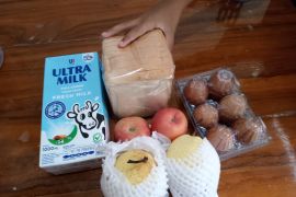 Anggota DPR: Pemberian MBG saat libur bukan masalah