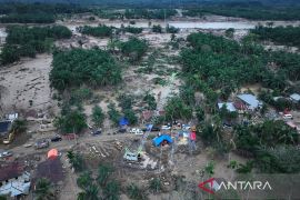 Crane jadi tower darurat strategi cepat pulihkan listrik Aceh