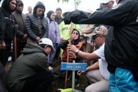 Pulihkan lingkungan Pemkab Gowa galakkan tanam 10 ribu pohon di hutan