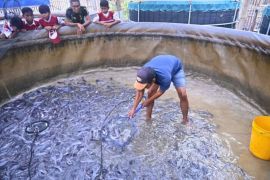 BNPT dorong kesiapsiagaan nasional lewat Bioflok Desa Siapsiaga