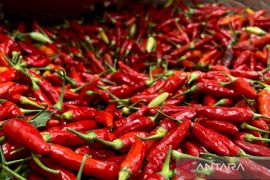 Harga pangan nasional melemah, cabai rawit dan bawang merah turun signifikan