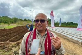 BI Maluku siapkan uang tunai Rp1,59 triliun untuk kebutuhan Natal