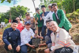 Govt plants 1,000 trees in Cisadane headwaters for disaster mitigation