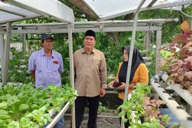 Anggota DPR apresiasi pengelolaan pertanian hidroponik di Surabaya