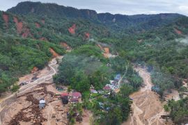 KI: Pemulihan DAS Batang Toru perlu pertimbangkan kondisi ekologis