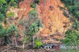 Bencana Batang Toru dan risiko baru bagi keanekaragaman hayati Sumatra
