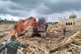 Wamenhut pastikan upaya kolaborasi percepatan pembersihan kayu terseret banjir Sumatera