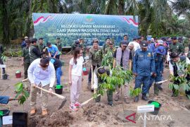 Wamen ATR: Relokasi dari Tesso Nilo memgedepankan prinsip keadilan