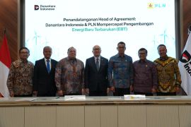 Danantara dan PLN jajaki peluang investasi energi baru terbarukan