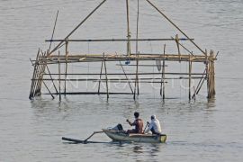 Ketika darat dan  laut bertaut
