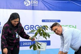 BRI Region 16 Manado tanam ratusan pohon peduli lingkungan
