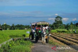 Desa wisata yang menarik untuk dikunjungi saat liburan akhir tahun