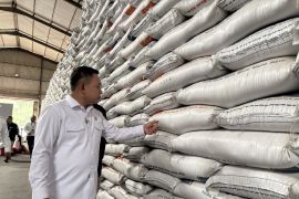 Cek stok beras, Penasihat presiden tinjau Gudang Bulog DKI Banten