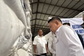 Penasihat presiden tinjau stok beras di Gudang Bulog DKI Jakarta dan Banten