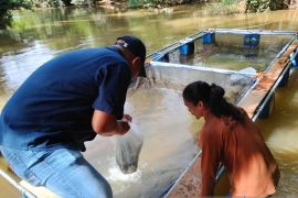 PTPN IV Regional III Dorong Pemuda Tandun Kelola Potensi Sungai Tapung demi Kemandirian Ekonomi