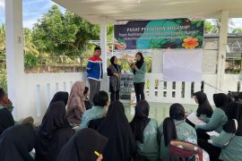 Nyala harapan dari Rejosari, petani naik kelas berkat pelatihan wirausaha Pertamina EP