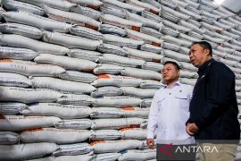 Penasihat presiden tinjau stok beras di Gudang Bulog DKI Banten