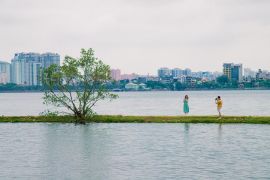 Hanoi catat penurunan kasus demam berdarah dengue