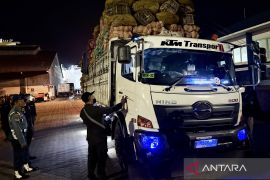 Karantina Kalsel operasi patuh periksa 110 truk di Pelabuhan Trisakti