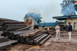 Kemenhut teruskan proses hukum jaringan pengangkut kayu ilegal di Batam