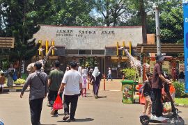 50.211 wisatawan kunjungi Taman Margasatwa Ragunan (TMR)  saat Natal 2025