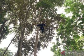 Atraksi lais tampil memukau pada kegiatan Pameran Foto Sakakala di Ciamis