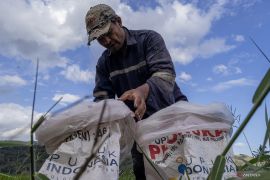 Percepatan serapan pupuk subsidi di Ranah Minang