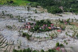 Bencana, negara, dan ujian rasionalitas kebijakan