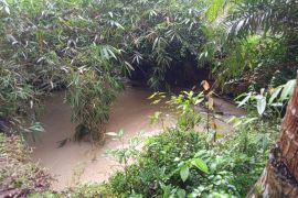 Legislator DPRD Kulon Progo Tukijan minta BBWSSO segera tangani banjir Hargorejo