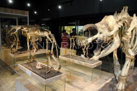 Wisata Museum Zoologi dan Kebun Raya Bogor