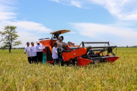 Akademisi: Transformasi kebijakan Mentan perkuat ekosistem pangan RI