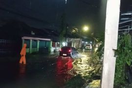 Waspada cuaca ekstrem di Makassar, ada pohon tumbang lukai warga