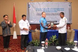 Pemprov Papua Selatan segera mengembangkan energi terbarukan