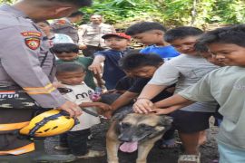 Polda Sumut hadirkan K-9 edukasi anak di pengungsian Tapanuli Selatan