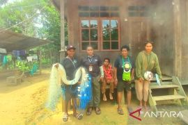 PTFI dan YPMAK bantu menggerakkan ekonomi warga Noema