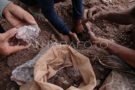 WNA China berpotensi jadi tersangka kasus tambang emas ilegal Sekotong