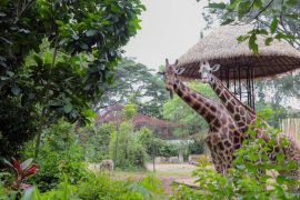 Peneliti sejarah sebut Lahan Bandung Zoo bukan milik perorangan