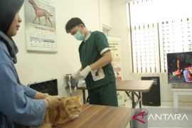 DKP Tangerang berikan layanan pengobatan gratis 4.032 hewan sepanjang tahun 2025