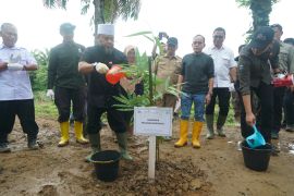 Bengkulu tanam 49.280 bibit pohon untuk konservasi berkelanjutan