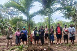 Pokja Kampung Wenin, Distrik Jita buka kebun kacang tanah