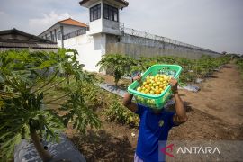 Program ketahanan pangan di Lapas Indramayu