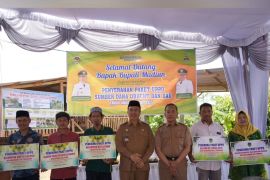 DKPP Kabupaten Madiun serahkan bantuan UPPO ke kelompok tani