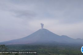 Semeru erupsi tiga kali dengan ketinggian letusan capai 900 meter