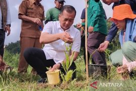 Gubernur Iqbal: Kerusakan hutan lahir kantong kemiskinan ekstrem baru