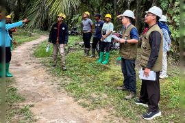 Akademisi: Pengendalian hama terpadu kunci tingkatkan produksi kelapa sawit